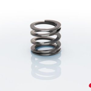 2-1/2" ID Tender Springs