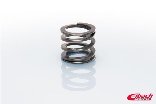 2-1/2" ID Tender Springs